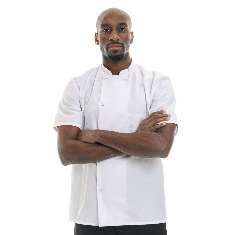 White Short Sleeve Chef Coat Madras - ROBUR -  by Robur | MANELLI``