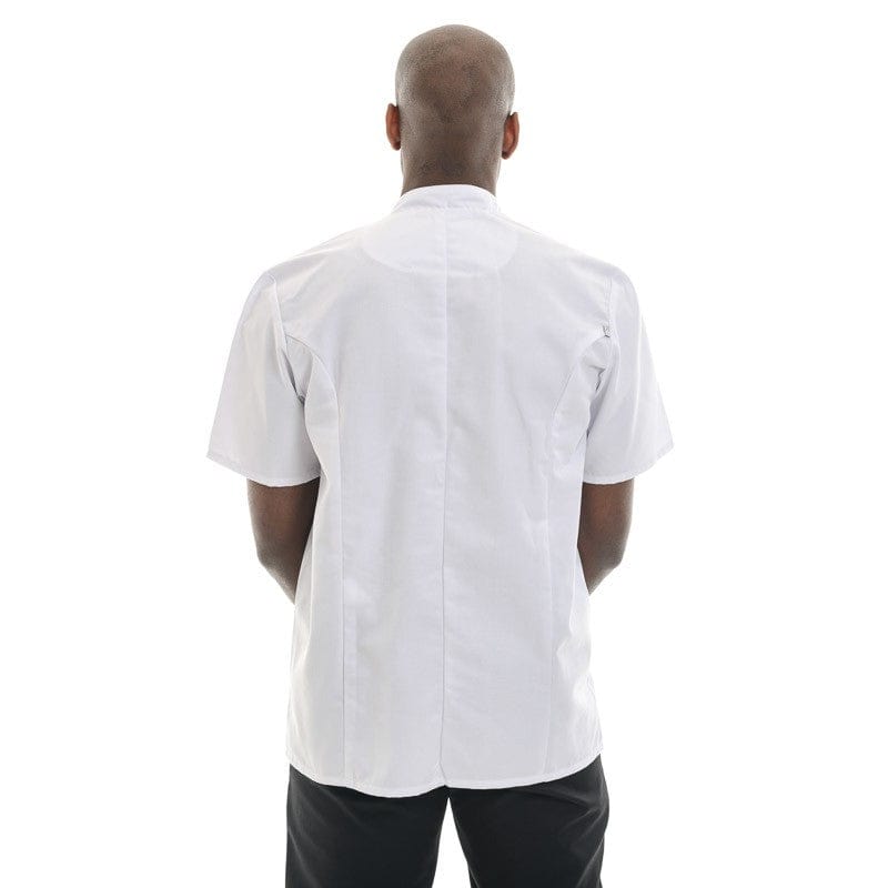 White Short Sleeve Chef Coat Madras - ROBUR -  by Robur | MANELLI``